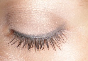 katie's eye katie's eye