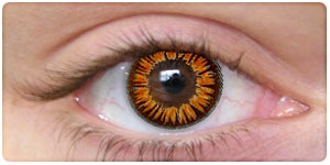 Twilight Contacts Twilight Contacts