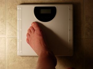 311966_the_scale 311966_the_scale