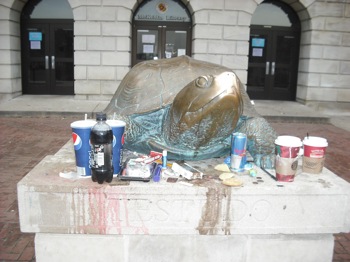 testudo testudo