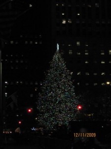 tree tree