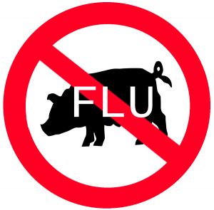 swine flu swine flu