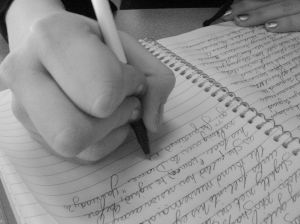 journal writing journal writing