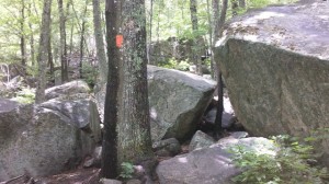 climbing Climbing Mountains